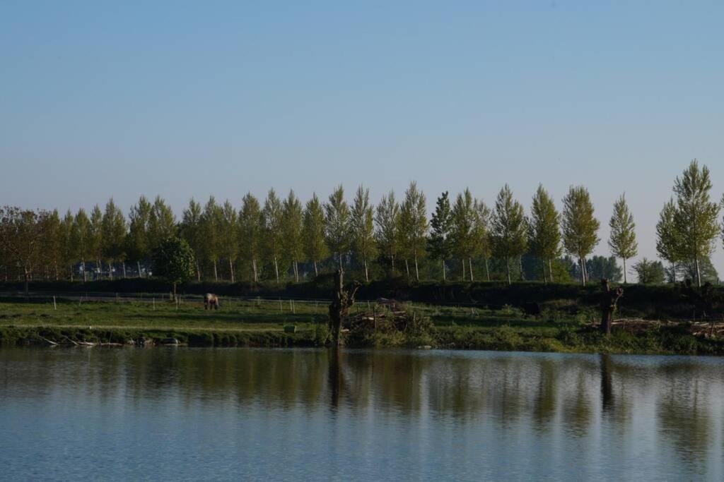 Appartement Vakantiewoning Het Olietunnetje *